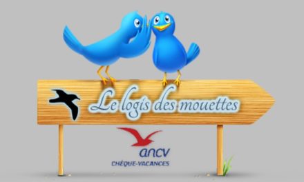 <strong>A propos du LOGIS DES MOUETTES</strong>