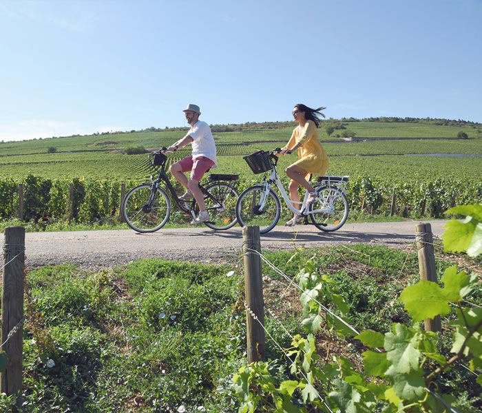 tourisme-balade-velo-vignes-saujon
