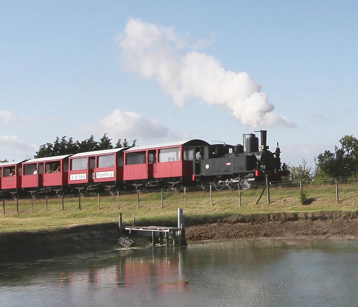 tourisme-train-mouettes-saujon